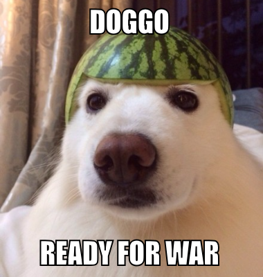 doggo ready for war