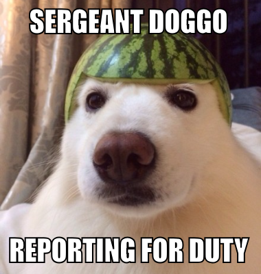 sergeant doggo reporting for duty